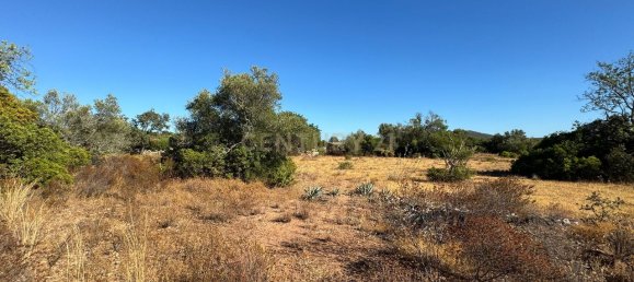 Grundstück in Santa Catarina da Fonte do Bispo, Portugal 10320m², Nr. 38587 3