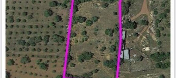 Grundstück in Santa Catarina da Fonte do Bispo, Portugal 10320m², Nr. 38587 15