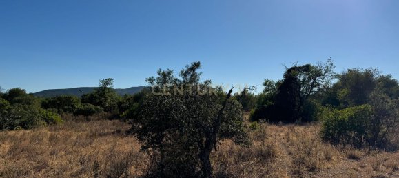 Grundstück in Santa Catarina da Fonte do Bispo, Portugal 10320m², Nr. 38587 12