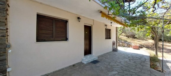 Propiedad comercial de 2 dormitorios en Chalkidiki, Greece No. 1938 16