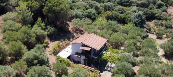 Propiedad comercial de 2 dormitorios en Chalkidiki, Greece No. 1938 4