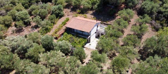 Propiedad comercial de 2 dormitorios en Chalkidiki, Greece No. 1938 8