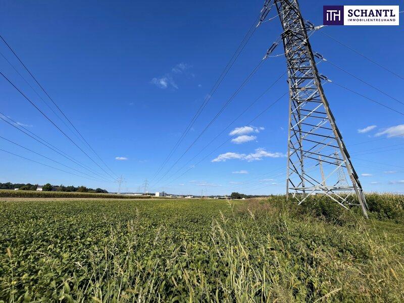  Land in Gralla, Austria No. 255194