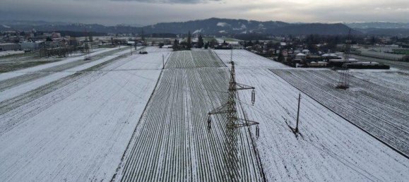 Land in Gralla, Austria No. 255194 6