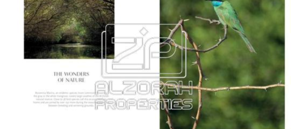 2 bedrooms Apartment in Al Zorah, UAE No. 22644 24