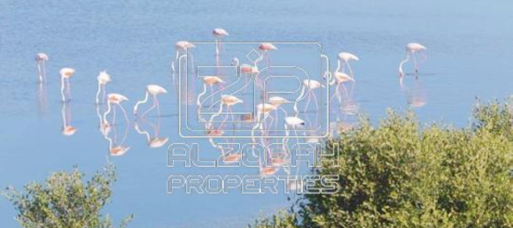 2 bedrooms Apartment in Al Zorah, UAE No. 22644 20