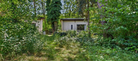 1-Zimmer Grundstück in Oder-Spree, Germany, Nr. 238448 4