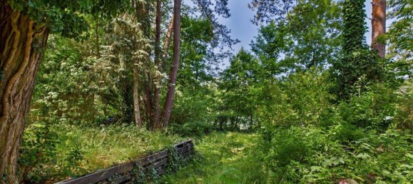 1-Zimmer Grundstück in Oder-Spree, Germany, Nr. 238448 5