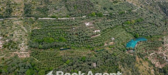1880m² Land in Massa Lubrense, Italy No. 310784 13