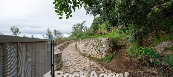 1880m² Land in Massa Lubrense, Italy No. 310784 7