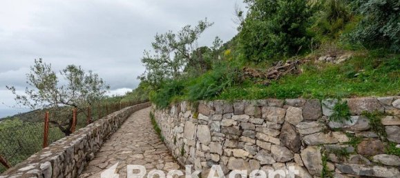 1880m² Land in Massa Lubrense, Italy No. 310784 5