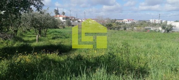 Terrain à Condeixa a Nova, Portugal 1615m² No. 70948 16