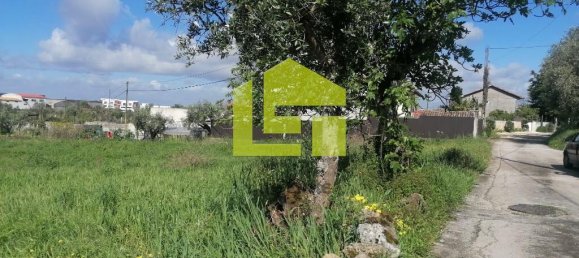 Terrain à Condeixa a Nova, Portugal 1615m² No. 70948 5