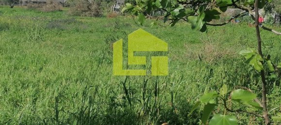 Terrain à Condeixa a Nova, Portugal 1615m² No. 70948 10