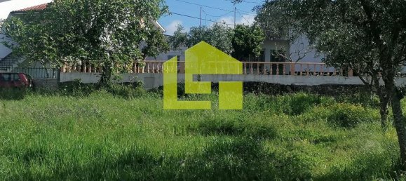 Terrain à Condeixa a Nova, Portugal 1615m² No. 70948 6