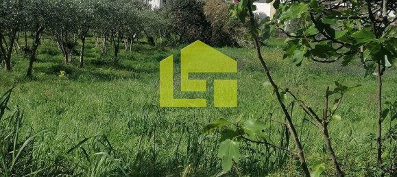 Terrain à Condeixa a Nova, Portugal 1615m² No. 70948 11