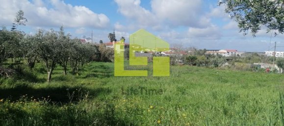 Terrain à Condeixa a Nova, Portugal 1615m² No. 70948 20