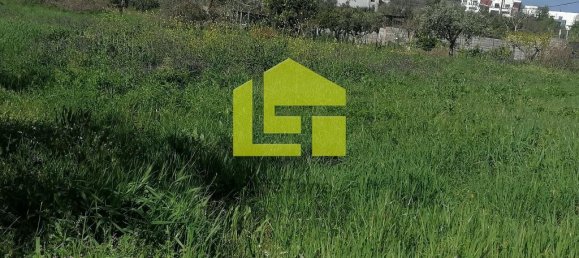 Terrain à Condeixa a Nova, Portugal 1615m² No. 70948 4