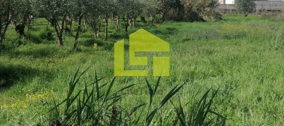 Terrain à Condeixa a Nova, Portugal 1615m² No. 70948 24