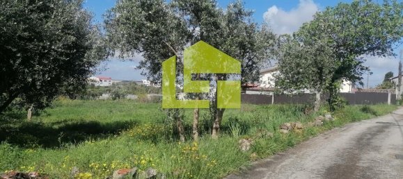 Terrain à Condeixa a Nova, Portugal 1615m² No. 70948 23