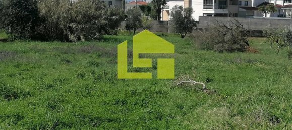 Terrain à Condeixa a Nova, Portugal 1615m² No. 70948 7