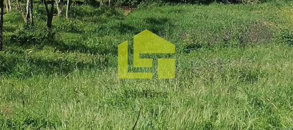 Terrain à Condeixa a Nova, Portugal 1615m² No. 70948 21