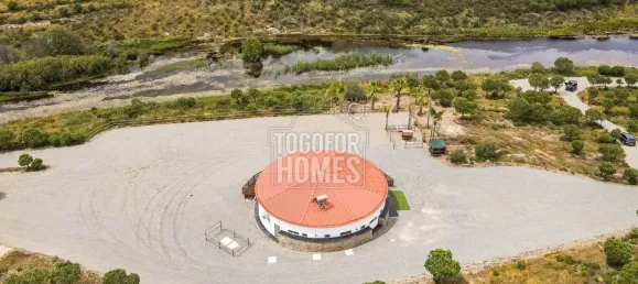 11 bedrooms Castles in Mertola, Portugal No. 44013 16