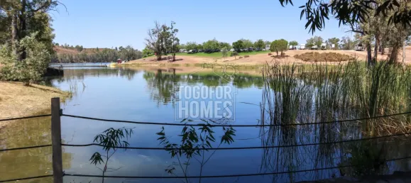 11 bedrooms Castles in Mertola, Portugal No. 44013 36