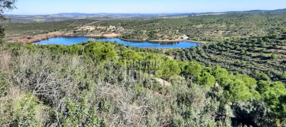 11 bedrooms Castles in Mertola, Portugal No. 44013 14