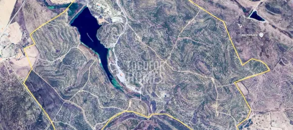 11 bedrooms Castles in Mertola, Portugal No. 44013 33