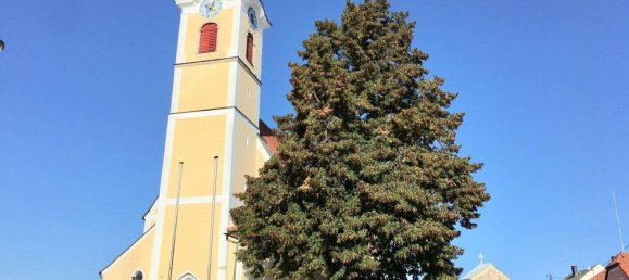 Casa de 5 divisões em Gunskirchen, Austria N.º 231955 26