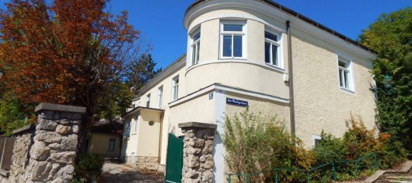 6 rooms House in Perchtoldsdorf, Austria No. 238434 37