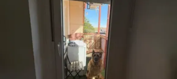 3 Schlafzimmer Wohnung in Salamanca, Spain, Nr. 180034 5