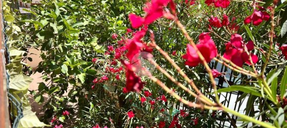 3 rooms Apartment in Palermo, Italy No. 235634 29