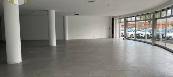 2 rooms Commercial property in Villorba, Italy No. 171412 9