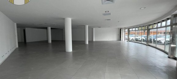 2 rooms Commercial property in Villorba, Italy No. 171412 7