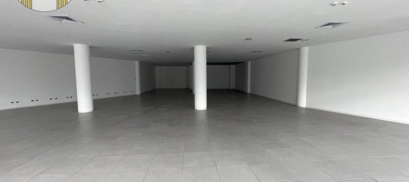 2 rooms Commercial property in Villorba, Italy No. 171412 10