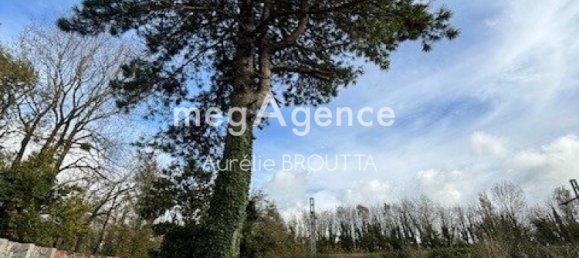 3 غرف نوم منزل في Dannes, France رقم 49860 6