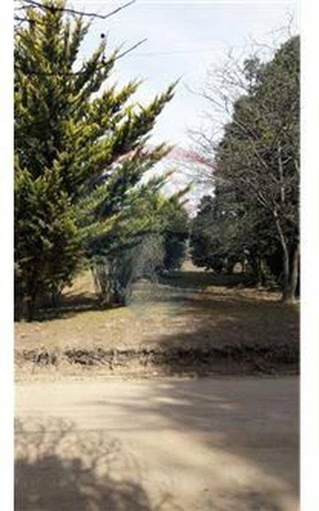  Land in Cordoba, Argentina No. 39290