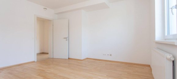 2 rooms Apartment in Kirnberg an der Mank, Austria No. 168418 9