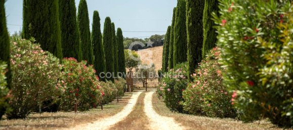 8غرفة منزل في Tuscania, Italy رقم 289398 3