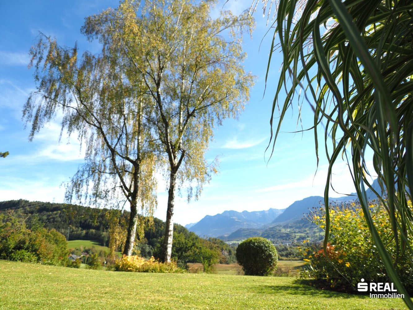  Land in Gofis, Austria No. 112272