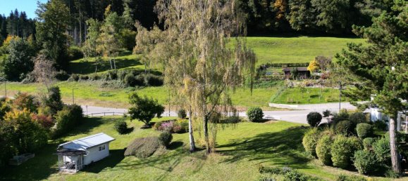 Land in Gofis, Austria No. 112272 2