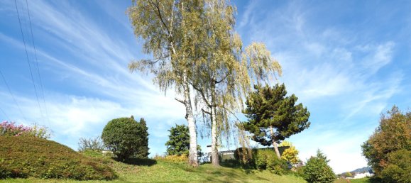 Land in Gofis, Austria No. 112272 10