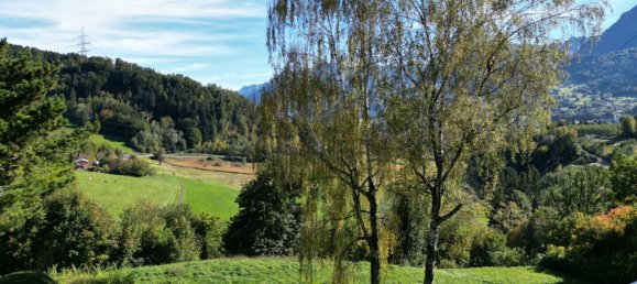 Land in Gofis, Austria No. 112272 8