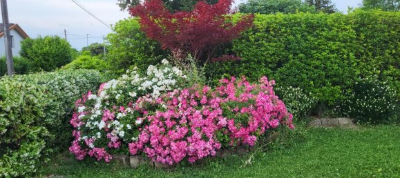 5 rooms House in Martellago, Italy No. 132274 37