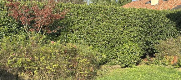 5 rooms House in Martellago, Italy No. 132274 38