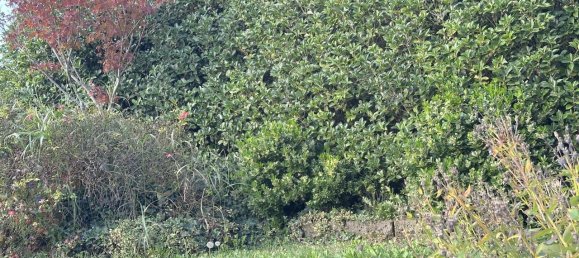 5 rooms House in Martellago, Italy No. 132274 43