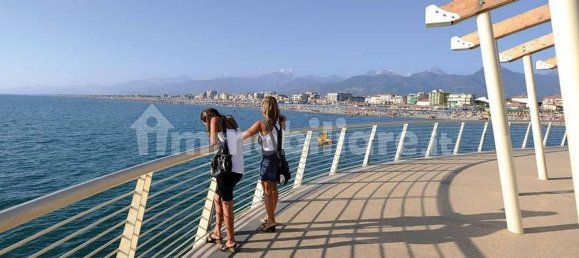 8 rooms House in Camaiore, Italy No. 40665 8