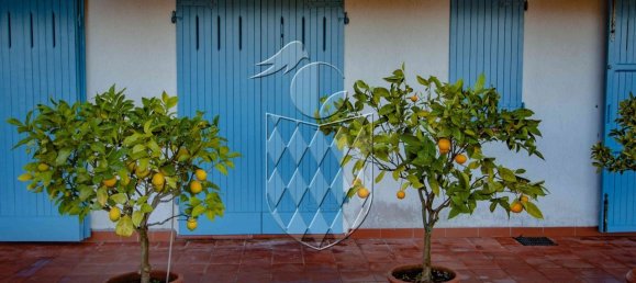 3 bedrooms Villa in Ameglia, Italy No. 90241 8